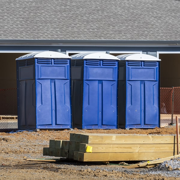 can i customize the exterior of the portable toilets with my event logo or branding in Sacul